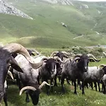Pensión Ferme Ithurburia Saint-Michel (Pyrenees-Atlantiques)