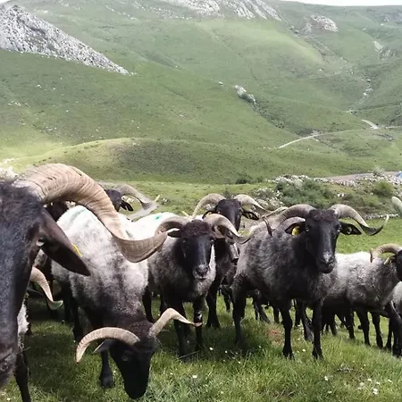 Penzion Ferme Ithurburia Saint-Michel (Pyrenees-Atlantiques)