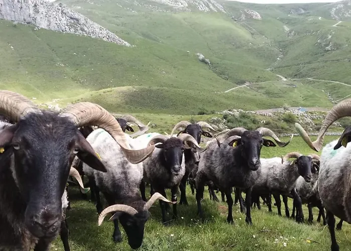 Πανσιόν Ferme Ithurburia Saint-Michel (Pyrenees-Atlantiques)
